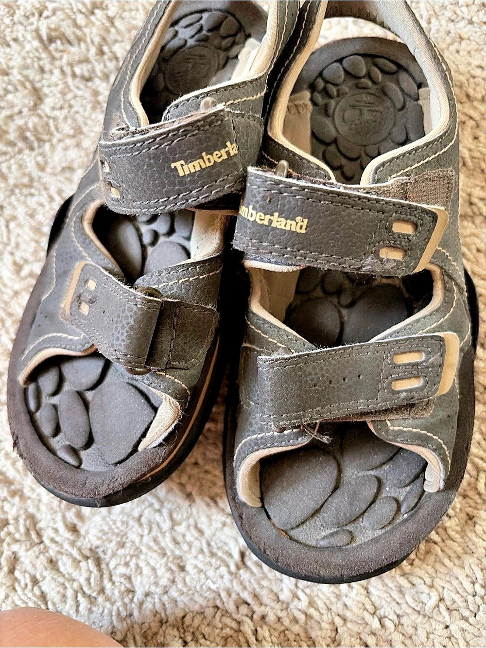 Timberland Adventure Seeker Two-Strap Sandal Boys Black & Brown US 2